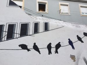 Lisboa graffiti: silhouette of birds sitting on a wire beneath a row of windows
